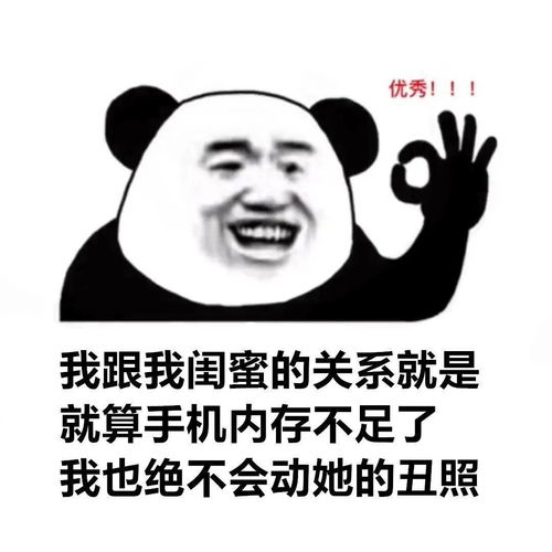 今日份热门表情包