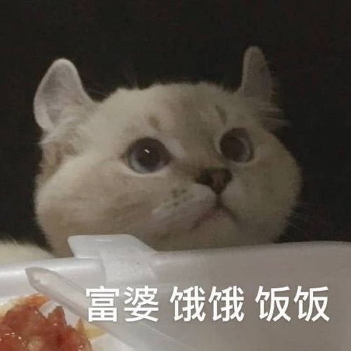 围观了一下院内cp,火速得出新三小只增gl