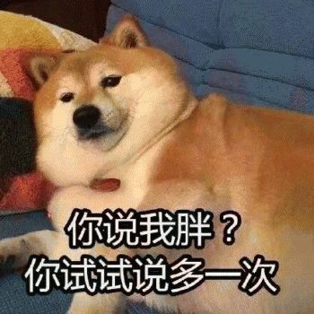 狗狗搞笑表情包来了不打算让自己可爱点吗教你转成微信表情包