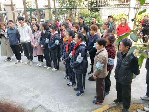 组织动态静安权舆社区公益服务中心荣获彭浦新村街道2019年度优秀公益服务项目