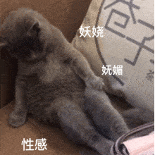 抖音近期最火的表情包,是这些