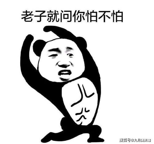 幽默笑话经典搞笑段子大全,简直笑成狗了,太逗了