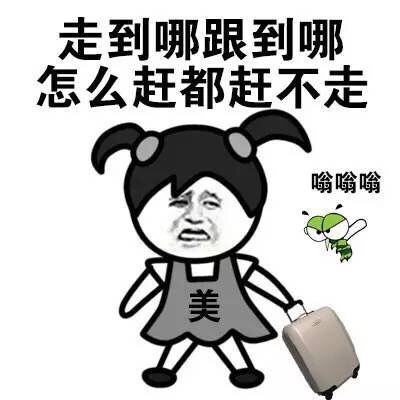 小辫子表情包我想,最爱我的是蚊子