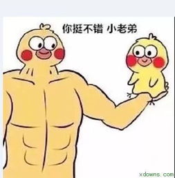 第一次见家长有多尴尬隔着屏幕笑到窒息哈哈哈哈哈