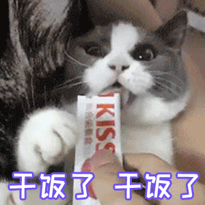可爱沙雕表情包猪猪吃饭啦