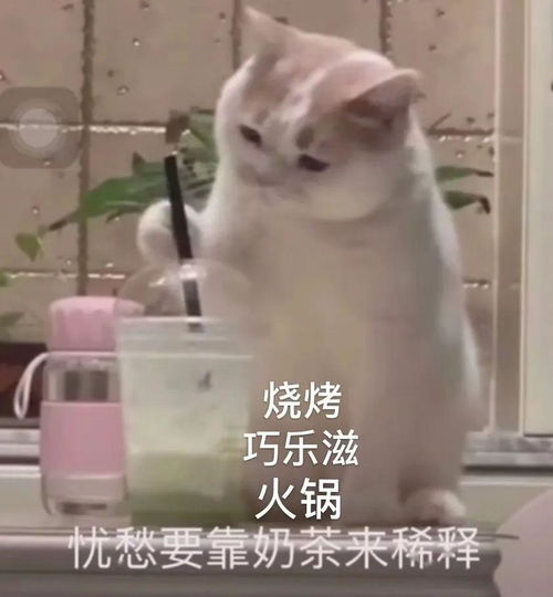 毕业论文,好难你毕业论文写完了吗自制力