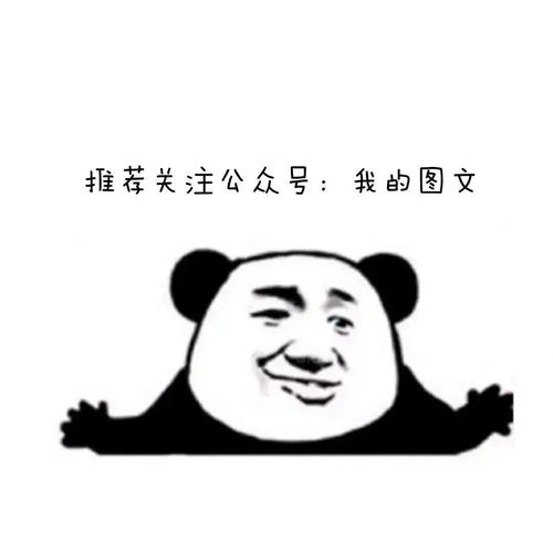 近期热门搞笑沙雕表情包