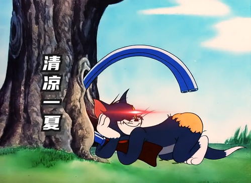 取图主页,清凉一夏...表情包搞笑视频经典段子情侣夫妻搞笑聊天记录猫和老鼠