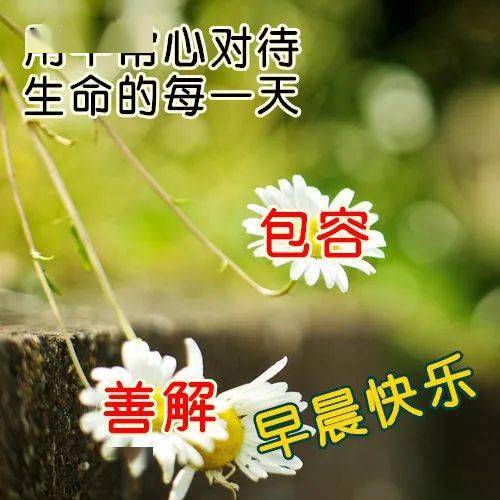 7月10日,早上好,2020新版早上好问候语大全2020最新早安祝福语