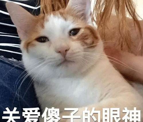 周围司机纷纷露出崇拜的表情,不停的向我们鸣笛,竖大拇指