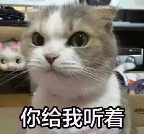 还在找工作创业小鸟带你飞快来看看有没适合的岗位