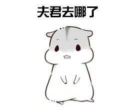 堆糖,美好生活研究所