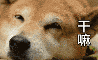 沙雕搞笑表情包i俺是你的犬系男友