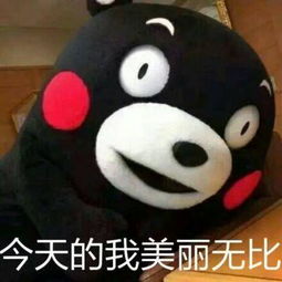 50个撩妹金句套路情话撩妹表白