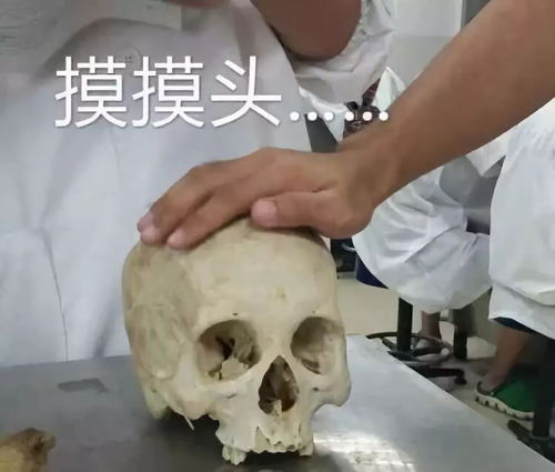 每个专业都有表情包,一雪前耻的时候到了