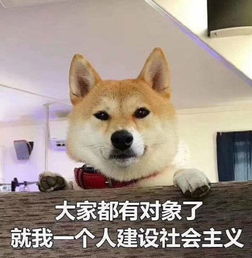 无水印表情包我可是女孩子,你怎么能对我那么凶