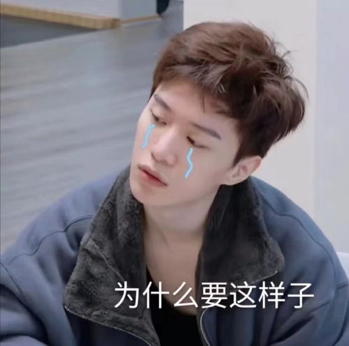 精彩帅气气又搞笑的范丞丞丨表情包