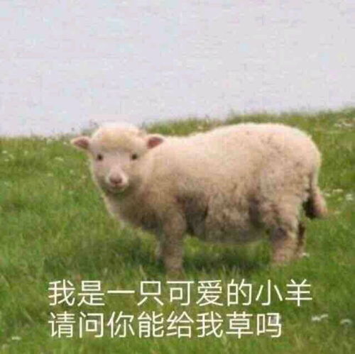 有没有很污的表情包