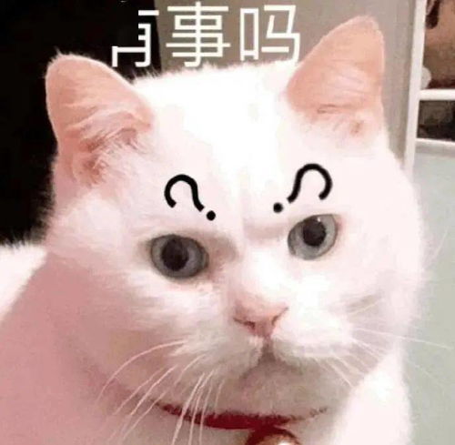 沙雕表情不用担心,我每天睡眠很充足