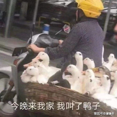 搞笑表情包图片快看那个人,这是他第100次说要减肥了