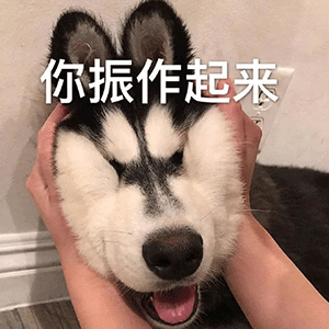 今日份沙雕表情包多喝热水少发骚