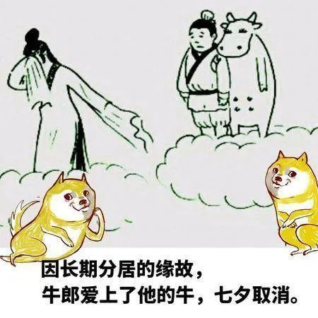 七夕表情包,祝天下有情人终成眷属也祝单身狗尽快找到自己另一半