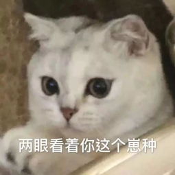 表情包丨好了,我知道了,别说了