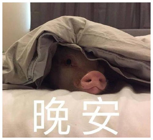 搞笑gif趣图这女的在路上也不安分,害人害己