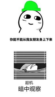 你能不能从我女朋友身上下来qq表情免费版下载