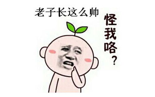 每日一笑十分搞笑的拽句子,这是高手