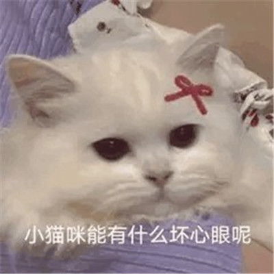 超级搞笑表情包表情包