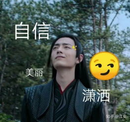 魔道祖师中蓝忘机在大梵山认出重生的魏无羡的时候的内心感受是什么样的