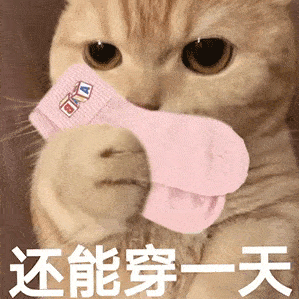 13幺糊了给钱第280期喵表情