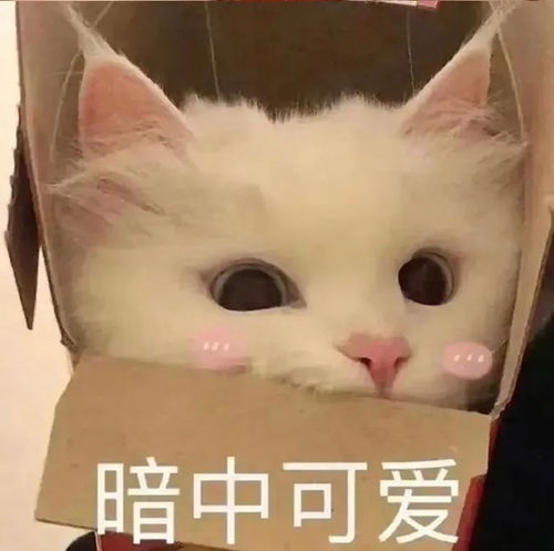 一份能直接照着买的618护肤购物清单
