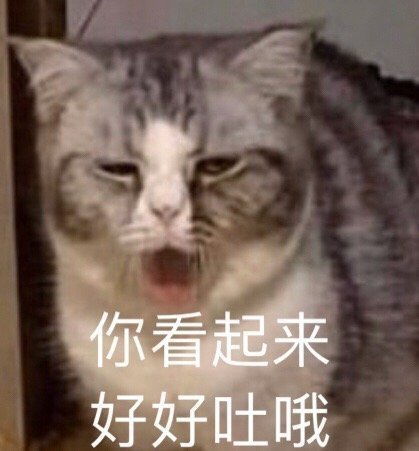 萌宠表情包你看我屌吗
