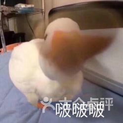 电话地址价格营业时间星海广场面包甜点团购