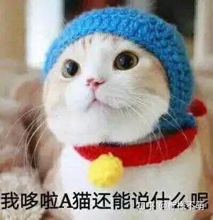 有没有比较搞怪的文案和表情包,来分享下吧
