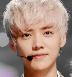 exo鹿晗个人资料鹿晗整容鹿晗机场摔倒