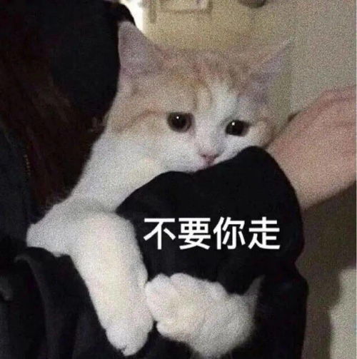 搞笑头像沙雕表情包我不快乐
