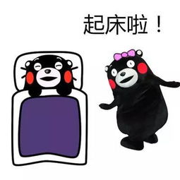 起床表情包搞笑图片单身汪