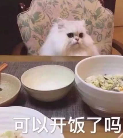 表情怼人专用表情包头可断血可留老子可遇不可求表情