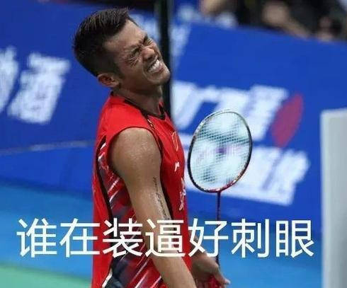 林丹退役林丹搞笑表情包,林丹搞笑动态图,林丹搞笑gif