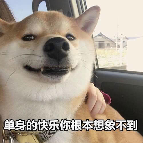 搞笑表情包模板单身
