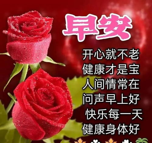 中老年表情包,太阳出来又是新一天的开始,美在心情乐在生活