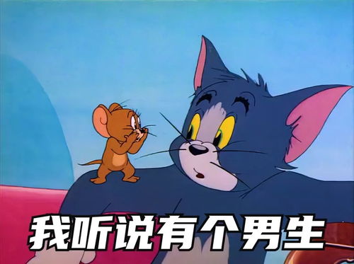 表情包不回我消息的下场你对象猫和老鼠表情包搞笑视频经典段子情侣夫妻