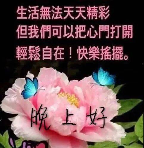 睡前群发晚上好问候动画表情图片朋友圈晚安问候语精选
