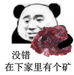 熊猫头表情包没错,在下家里有个矿