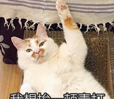 每日一笑人家姑娘长得是挺漂亮,你也不至于老是咽口水吧