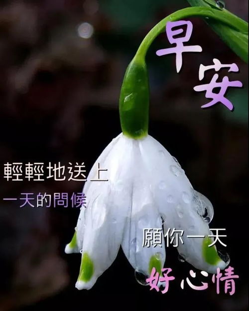9月14日特别漂亮的早上好动态图片表情包大全,秋日最新早晨好美图大全