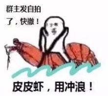 皮皮虾用天飞表情包下载乐游网游戏下载